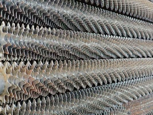 ASME Pièces de chaudière en acier inoxydable pour dissipation de chaleur