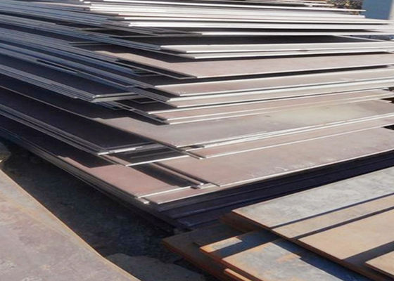 Feuille inoxydable de la plaque d'acier d'ASTM AISI Ss304/solides solubles 304 pour des produits pétrochimiques
