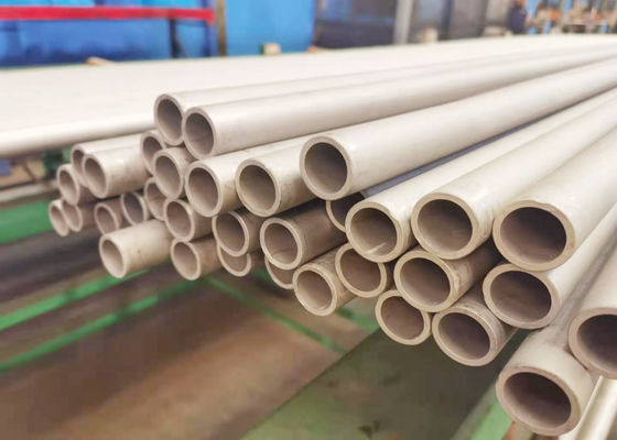 tuyau sans couture du surchauffeur solides solubles 304 secondaires de 6mm pour l'incinérateur de rebut MSWI