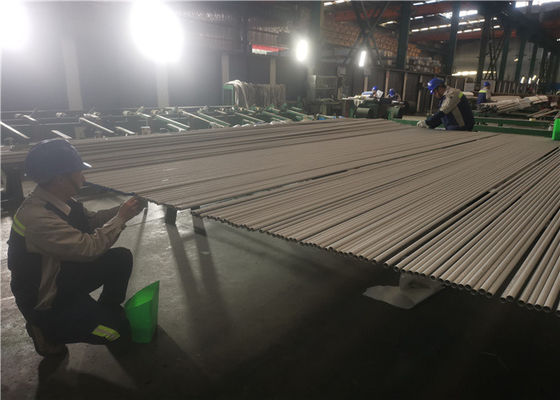 Tube TP317 inoxydable sans couture d'OD 6mm ASTM 269
