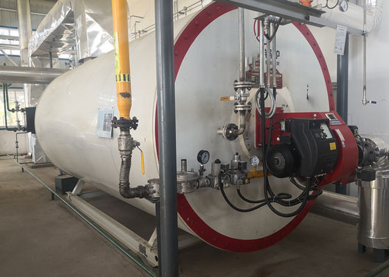 Chaudière à vapeur organique du gazole 0.7MW avec le niveau élevé de sécurité