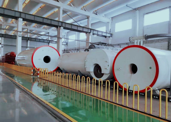 chaudière à gaz naturelle de combinaison du propane 1.1mpa horizontal